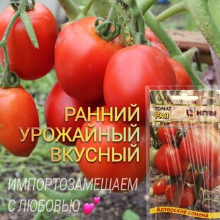 Pro.Томат