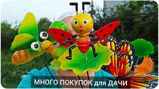 Обзоры и Мастер-классы