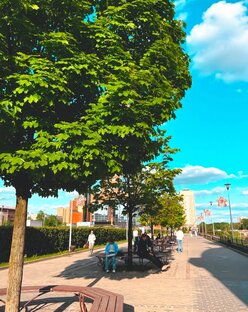 Видео подборки