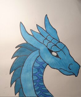 Мои рисунки