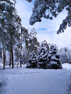 Зима