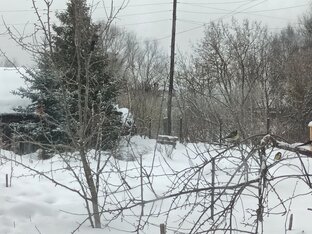 2023 год в нашем саду: опыт, вопросы и ответы