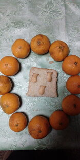 Сочинения для детей