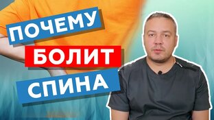 Все о спине