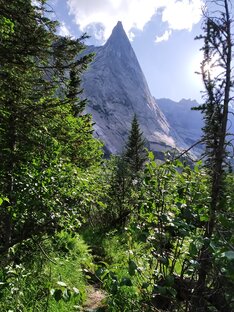 Короткие видео