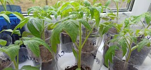 Обзоры. Подборки.