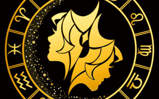 близнецы 22- 23 год