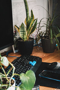 Солянка из постов и статей