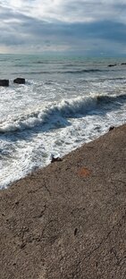 Путишевствие 