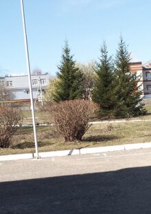 Мой город