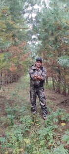 Поход за грибами