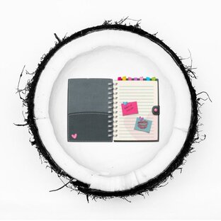Bullet Journal 
