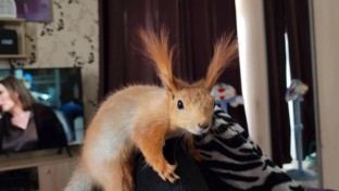 Весёлые подборки приколов! 🤪