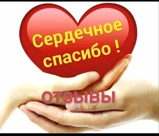 Отзывы и рекомендации