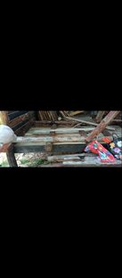 Лесная баня