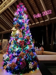 Доминикана - декабрь 2021