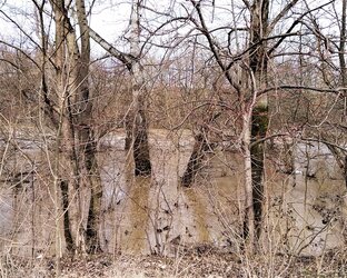 КЛИМАТИЧЕСКИЕ ПРОЯВЛЕНИЯ