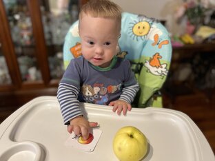 Интеллектуальное и эмоциональное развитие 