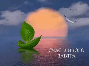 История и невероятные факты