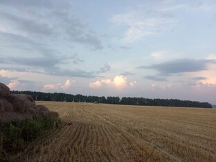 Скотомогильник 