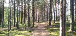 Интересные места