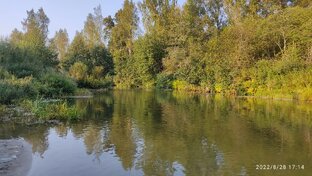 Песни для души. Каверы в исполнении Елены Кондратьевой 