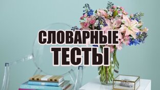 СЛОВАРНЫЕ ТЕСТЫ