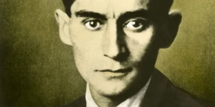 Многовато идиотизма