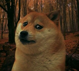 Поговорим о тебе