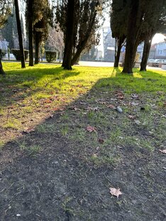 Мы видим мир сквозь солнце