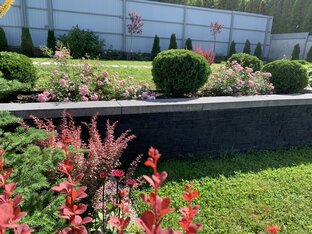 Первые шаги к саду мечты