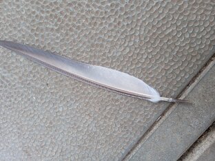 Всяко - разно