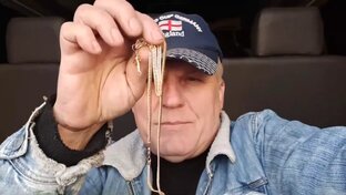 Поиск с металлоискателем