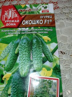Огурцы.