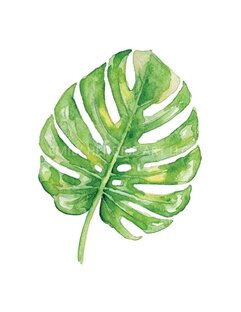 Семейства 🌱