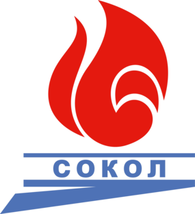 55 лет поисковому отряду «Сокол»