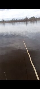 Весна и чем я занимаюсь?