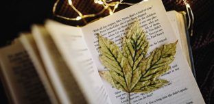 Психология