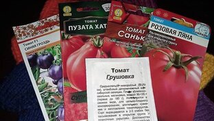Сажаем овощи: семена, которые не подведут