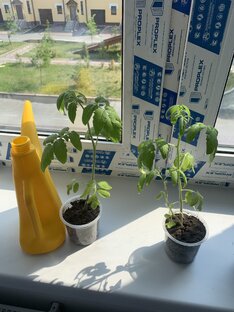 Копнуть глубже