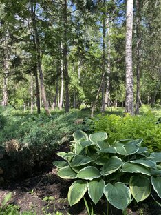 ЭКО-привычки