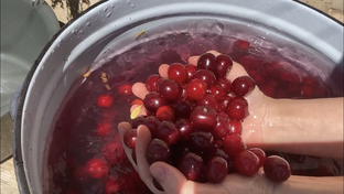 Всё о жизни