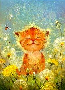 Котики 🤗💕