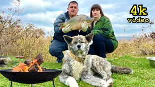 Все мои видео