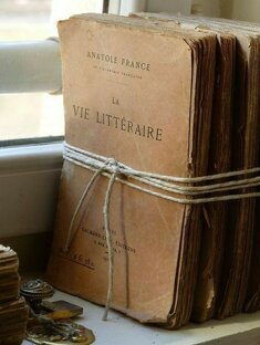 Книжные жители. Цитаты и вырезки фраз