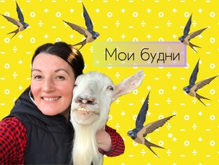 Личный Дневничок