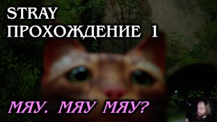Stray