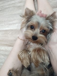 Дела житейские.