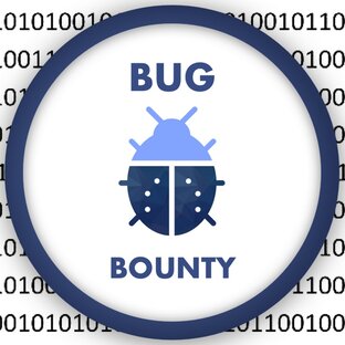 Bug Bounty