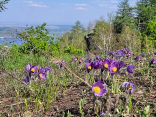 Окрестности курорта "Банное" ( озеро Якты-Куль)